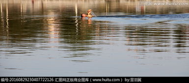 關于湖中游泳的詩句