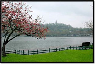 關(guān)于小溪水的詩句