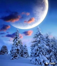 關(guān)于星星的詩(shī)句古詩(shī)詞