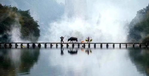 關(guān)于養(yǎng)老方面的詩句