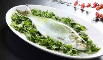 關于品嘗鰣魚的詩句