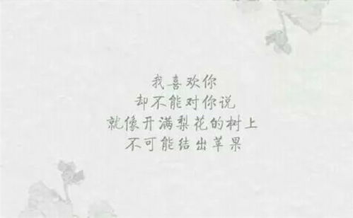 古詩(shī),詩(shī)句,暗戀,唯美