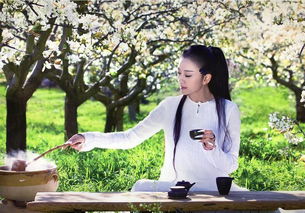 關于普洱茶的古詩句,形容普洱茶的美句,形容時光飛逝的古詩句