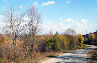 贊美秋天美景的古詩(shī)詩(shī)句