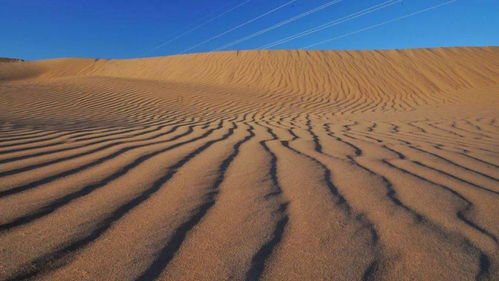 有哪些關(guān)于植物頑強生長的詩句呢想一想寫下來,有哪些關(guān)于植物頑強生長的詩句呢,有哪些關(guān)于植物頑強生長的詩句三年級