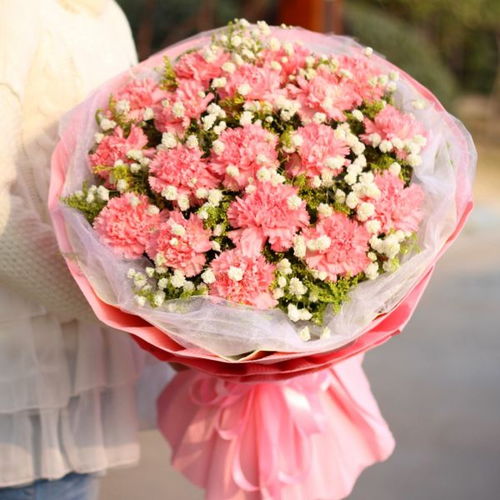 關(guān)于喜歡康乃馨的詩句