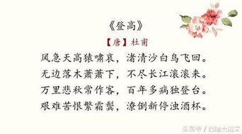 關(guān)于政治命運(yùn)的詩(shī)句
