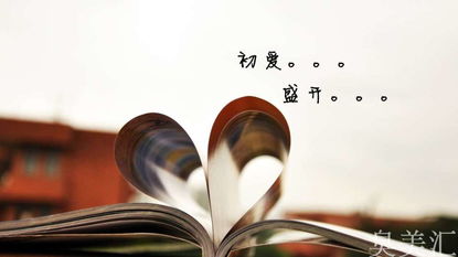 含古詩句的小學畢業(yè)贈言