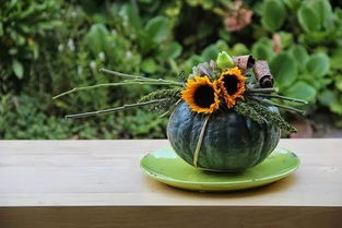 關(guān)于南瓜花的詩(shī)句大全