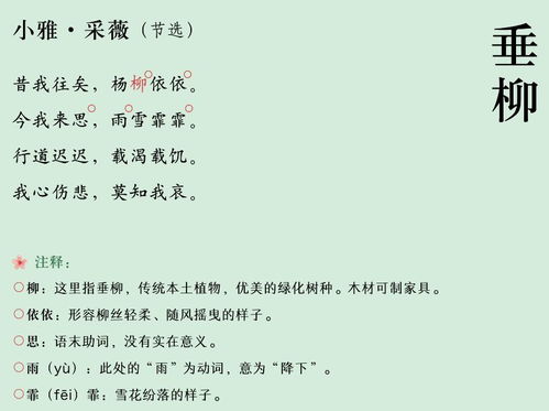 描寫小學生植物的詩句古詩詞