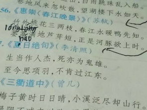 江河,詩句,詞語