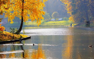 關(guān)于寫景秋天的詩(shī)句古詩(shī)大全