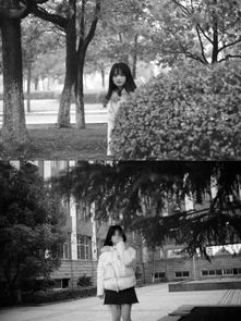 圓月,詩句,于月