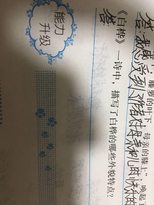 古詩(shī)中描寫(xiě)夏冬特征的詩(shī)句