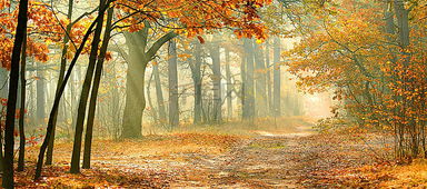 有關(guān)秋景的古詩句