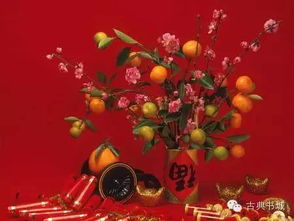 關(guān)于陪您過春節(jié)的詩句