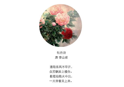 有關于贊美牡丹的詩句