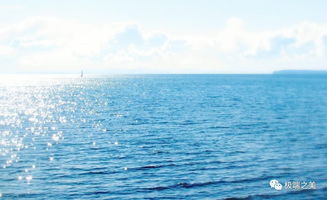 關(guān)于魚和海的詩句古詩