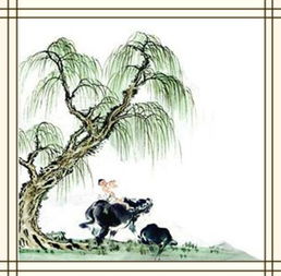 柳樹黃芽古詩(shī)句