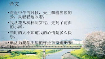 偶成古詩(shī)詩(shī)句妙處