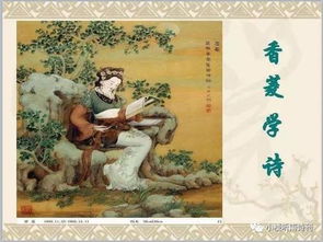 紅樓夢關(guān)于讀書的詩句