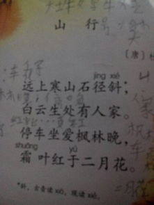 古詩山行詩句的大意