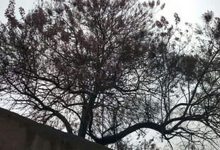 關(guān)于天明詩句