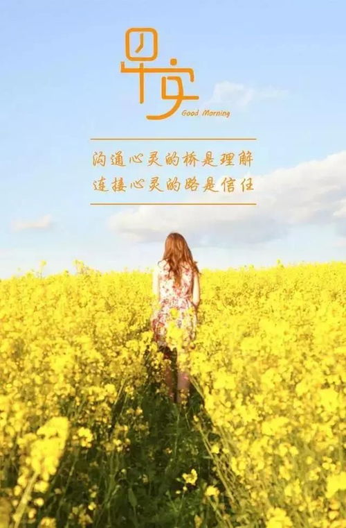 送給朋友的古詩(shī)名句,適合送給朋友的古詩(shī),送給朋友的古詩(shī)祝福語(yǔ)