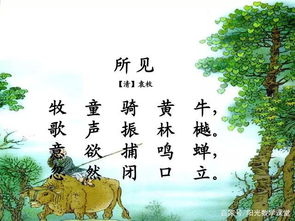 描寫山的詩(shī)句古詩(shī)三年級(jí),有關(guān)寫山的詩(shī)句古詩(shī),杜鵑的詩(shī)句古詩(shī)三年級(jí)