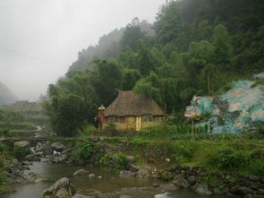 關(guān)于畬鄉(xiāng)的詩句