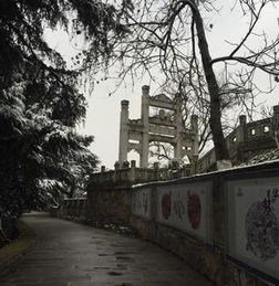 關(guān)于龜山蛇山的詩句