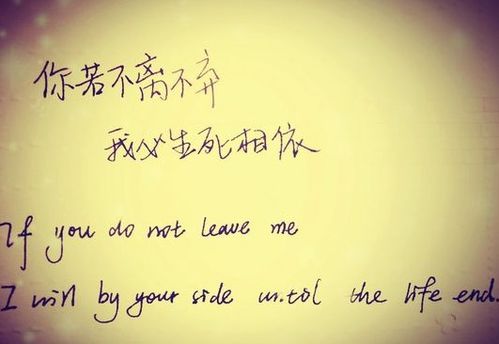 關(guān)于友誼的詩句英語版