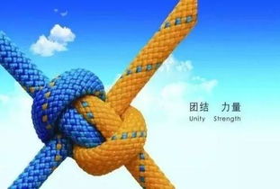 關(guān)于團結(jié)的詩句和意思