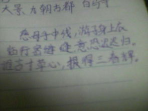 古詩文中贊揚花的品德的詩句有