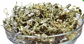 關(guān)于紫花苦菜的詩句