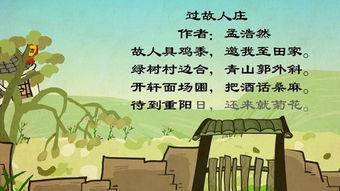 關(guān)于過故人莊的詩(shī)句意思是什么意思