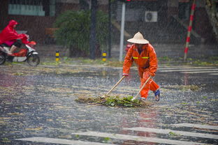 關(guān)于落花無私奉獻的詩句