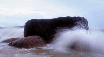 關(guān)于外伶仃洋的詩句