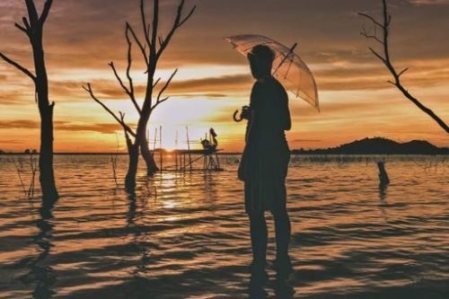 付出終有回報的古詩句,有付出就有回報的古詩或名言警句,付出得不到回報的古詩