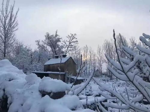 贊美大雪的詩(shī)句古詩(shī),贊美青山綠水的古詩(shī)句,贊美父親的古詩(shī)句