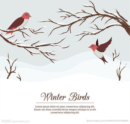 關(guān)于的鳥(niǎo)與樹(shù)冬天的詩(shī)句