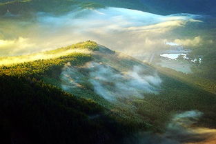 關(guān)于霧的唯美詩句