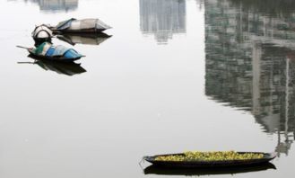 安仁,古詩,詩句,解釋