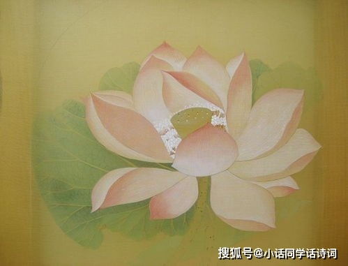 關(guān)于蓮的詩句古詩20首