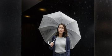 關(guān)于求職的詩句