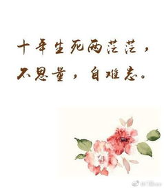 寫思念愛人的詩句古詩詞