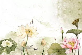 關(guān)于荷花的古詩句大全