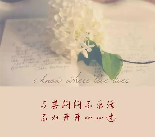 關(guān)于笑看生活的詩(shī)句