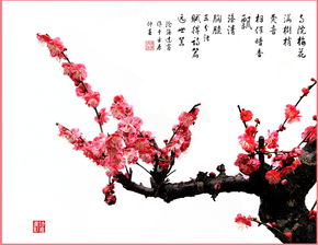 關(guān)于花和影的詩句