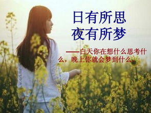 關(guān)于日有所思夜有所夢的詩句
